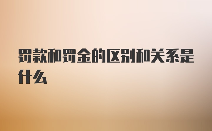 罚款和罚金的区别和关系是什么