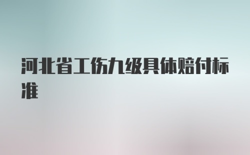 河北省工伤九级具体赔付标准