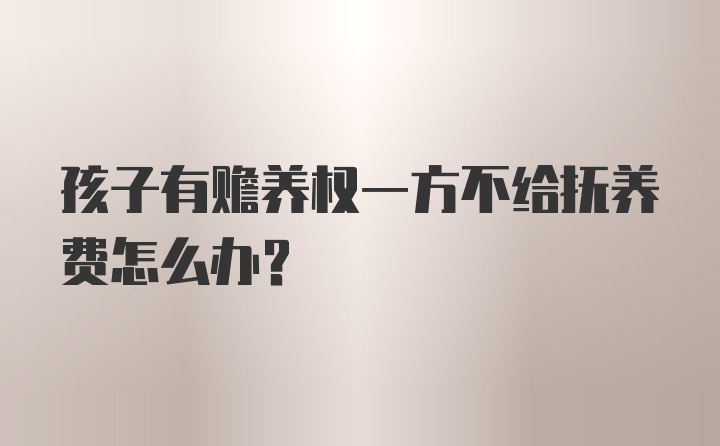 孩子有赡养权一方不给抚养费怎么办？