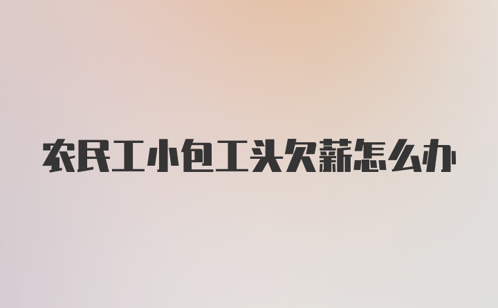 农民工小包工头欠薪怎么办