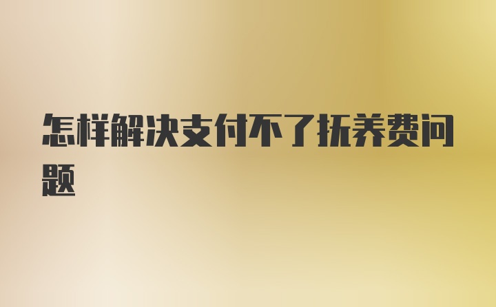 怎样解决支付不了抚养费问题