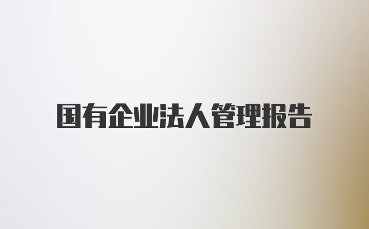 国有企业法人管理报告