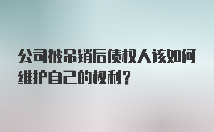 公司被吊销后债权人该如何维护自己的权利？