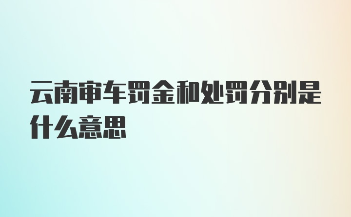 云南审车罚金和处罚分别是什么意思