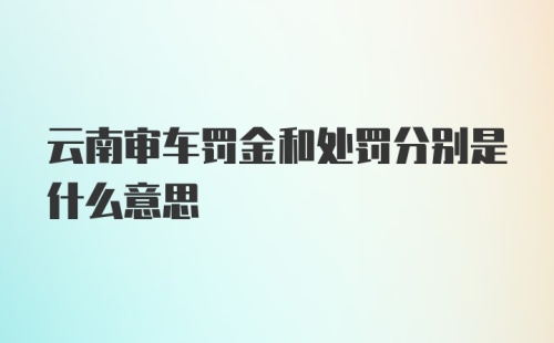 云南审车罚金和处罚分别是什么意思