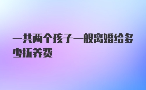 一共两个孩子一般离婚给多少抚养费