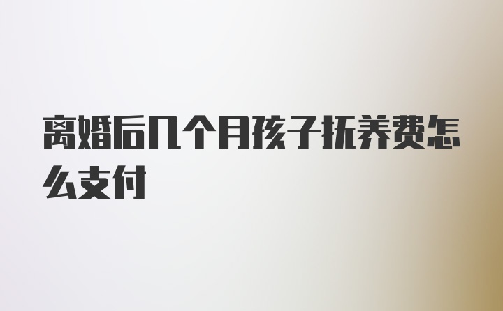 离婚后几个月孩子抚养费怎么支付