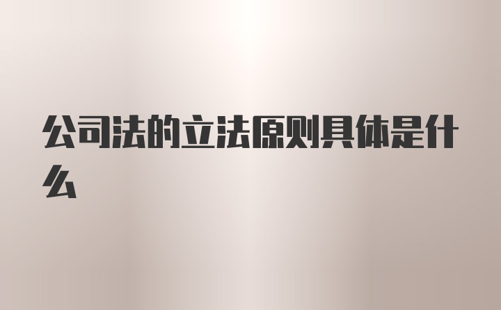 公司法的立法原则具体是什么