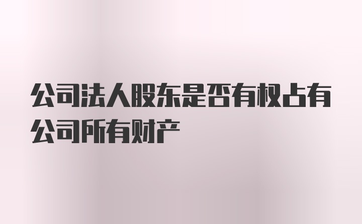 公司法人股东是否有权占有公司所有财产