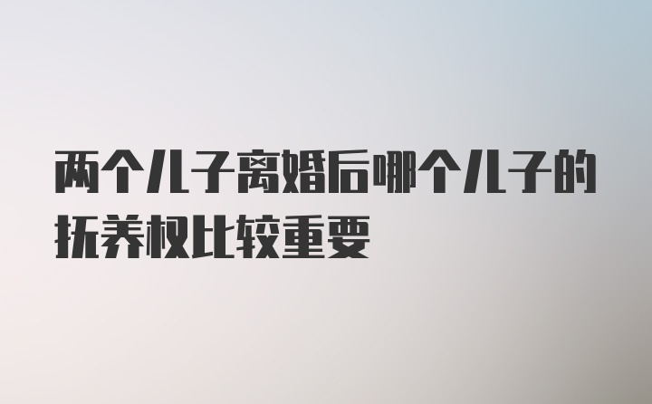 两个儿子离婚后哪个儿子的抚养权比较重要