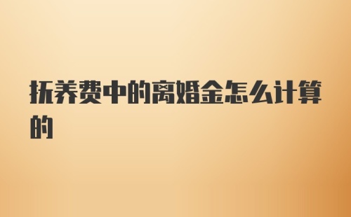 抚养费中的离婚金怎么计算的