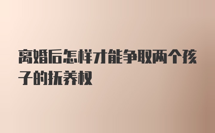 离婚后怎样才能争取两个孩子的抚养权