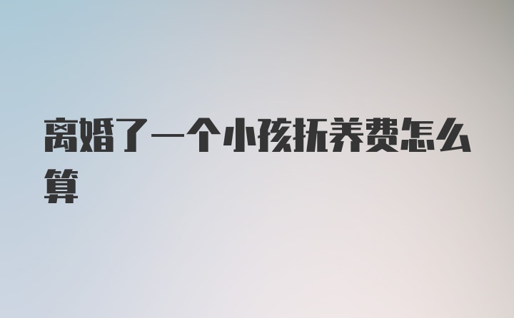 离婚了一个小孩抚养费怎么算