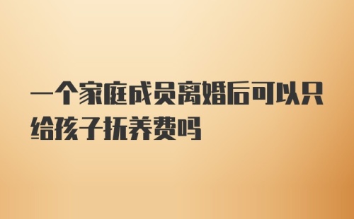 一个家庭成员离婚后可以只给孩子抚养费吗