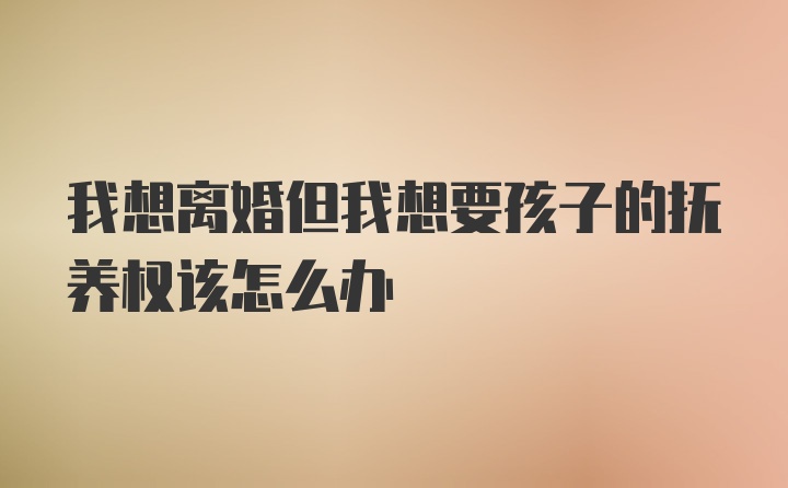 我想离婚但我想要孩子的抚养权该怎么办