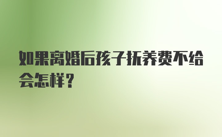 如果离婚后孩子抚养费不给会怎样？