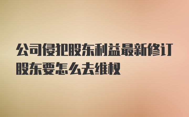 公司侵犯股东利益最新修订股东要怎么去维权