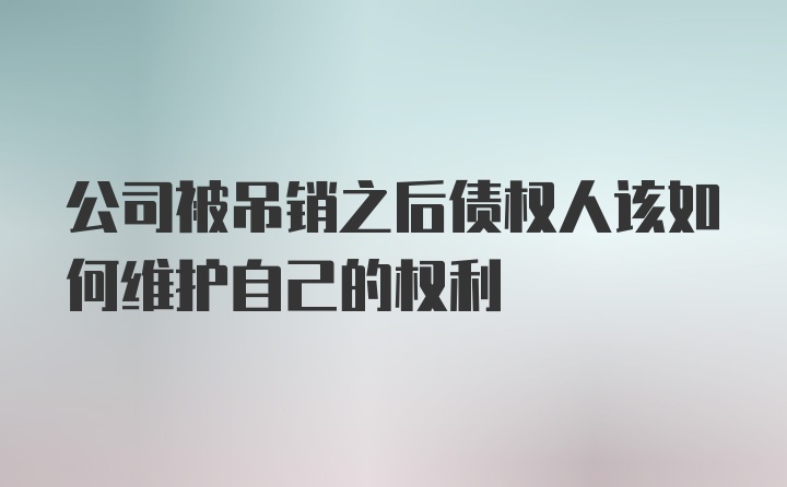 公司被吊销之后债权人该如何维护自己的权利