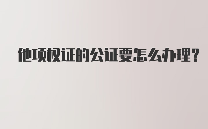 他项权证的公证要怎么办理？