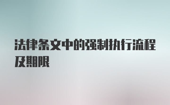 法律条文中的强制执行流程及期限