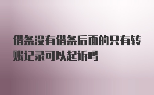 借条没有借条后面的只有转账记录可以起诉吗