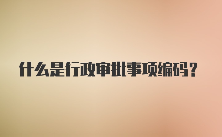 什么是行政审批事项编码?