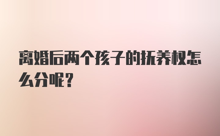 离婚后两个孩子的抚养权怎么分呢？