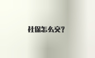 社保怎么交?