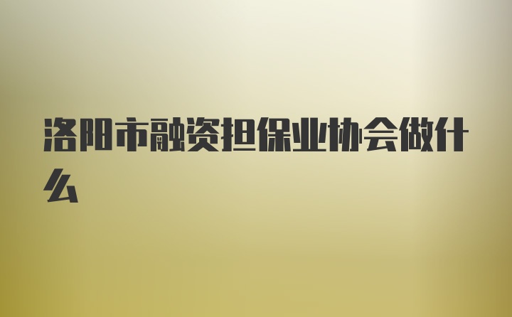 洛阳市融资担保业协会做什么