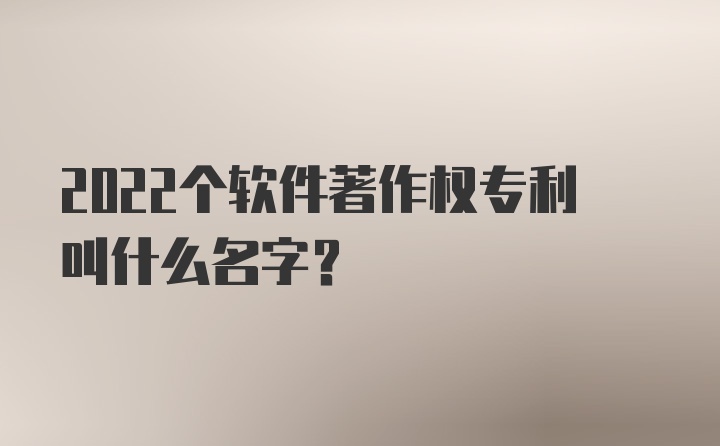 2022个软件著作权专利叫什么名字？