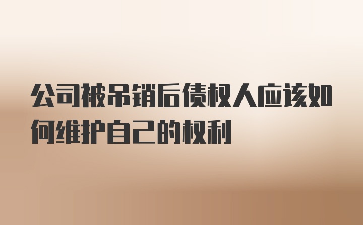 公司被吊销后债权人应该如何维护自己的权利