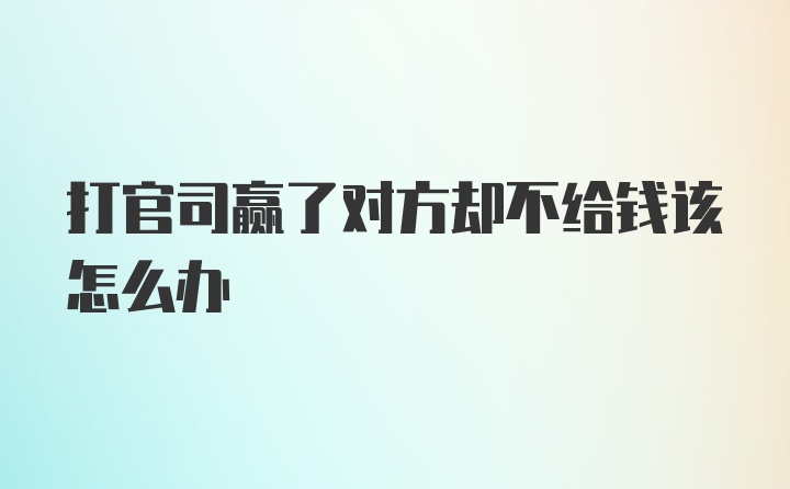 打官司赢了对方却不给钱该怎么办