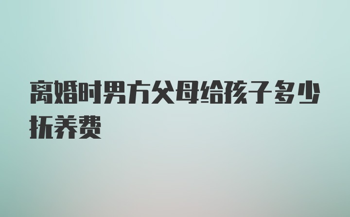 离婚时男方父母给孩子多少抚养费