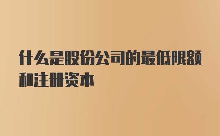 什么是股份公司的最低限额和注册资本