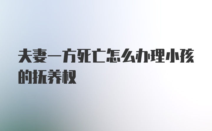 夫妻一方死亡怎么办理小孩的抚养权