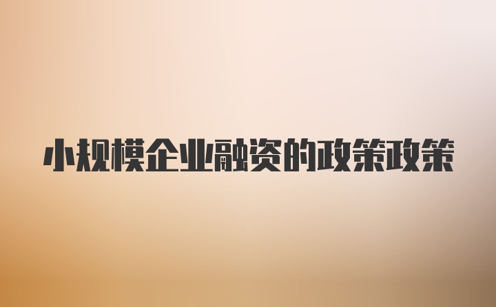 小规模企业融资的政策政策