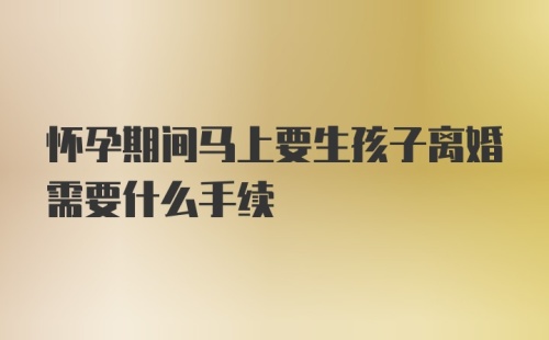 怀孕期间马上要生孩子离婚需要什么手续