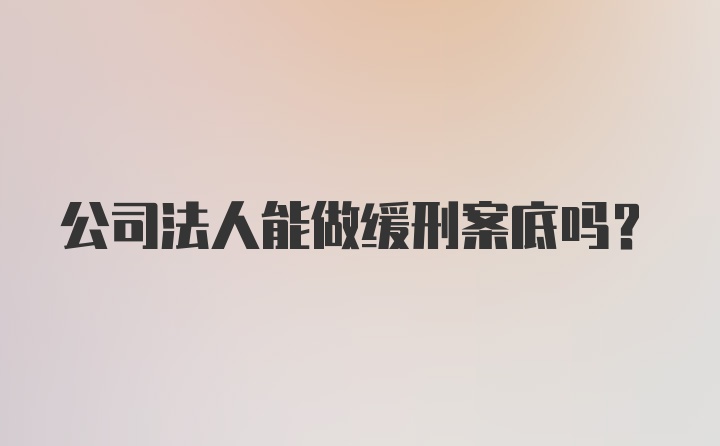 公司法人能做缓刑案底吗？