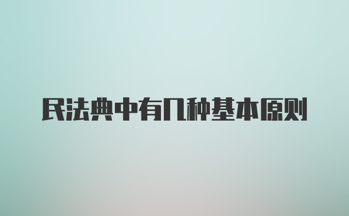 民法典中有几种基本原则