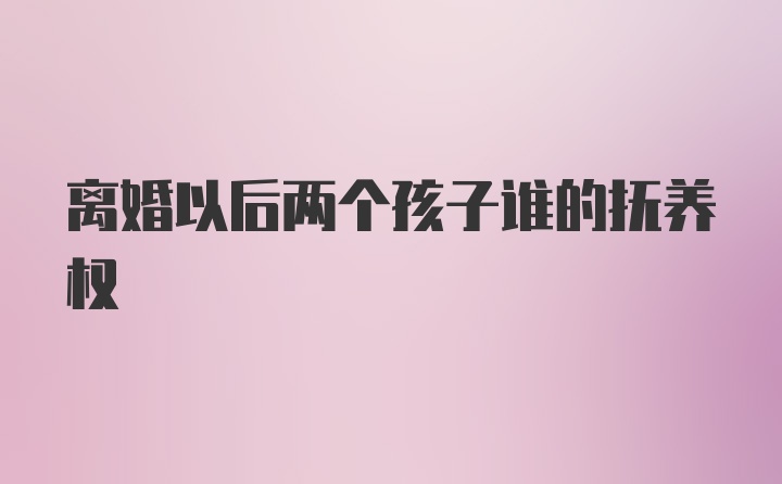 离婚以后两个孩子谁的抚养权