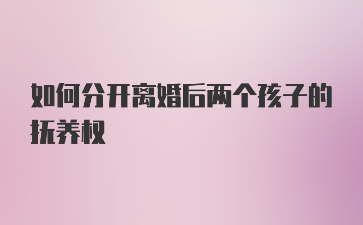 如何分开离婚后两个孩子的抚养权