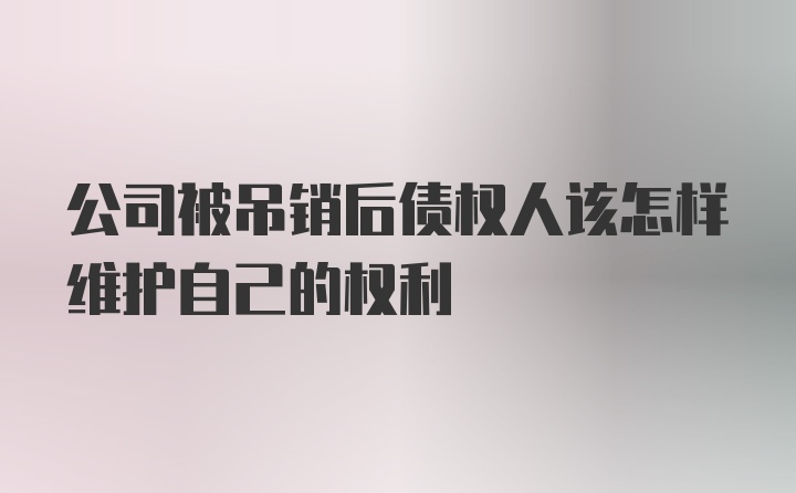 公司被吊销后债权人该怎样维护自己的权利