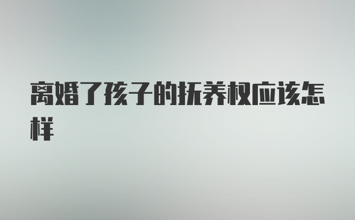 离婚了孩子的抚养权应该怎样