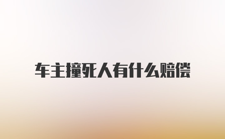 车主撞死人有什么赔偿