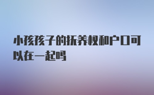 小孩孩子的抚养权和户口可以在一起吗