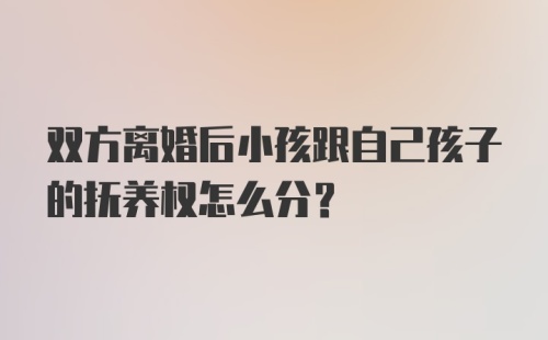 双方离婚后小孩跟自己孩子的抚养权怎么分？