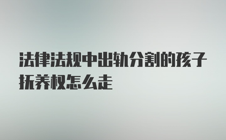 法律法规中出轨分割的孩子抚养权怎么走