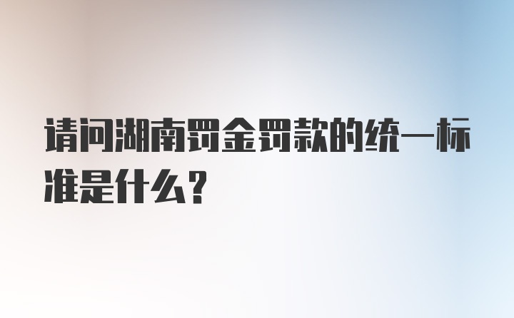 请问湖南罚金罚款的统一标准是什么？