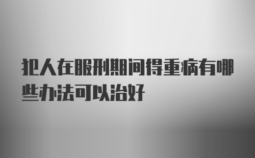 犯人在服刑期间得重病有哪些办法可以治好