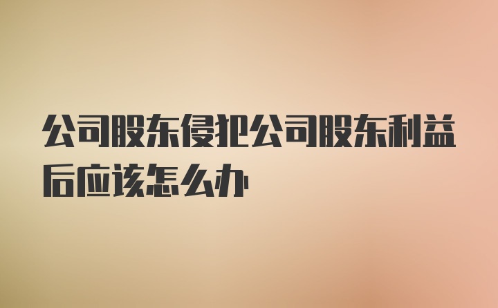 公司股东侵犯公司股东利益后应该怎么办